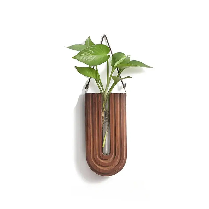 Decorbites™ wooden flower vase wall mount holder with sleek curved wood and central glass tube holding green leaves
