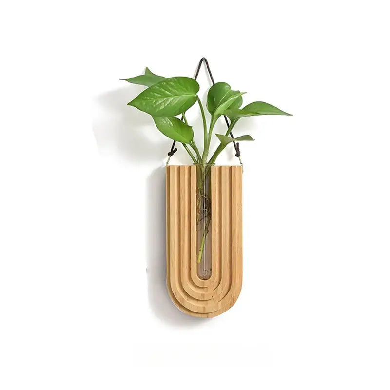 Decorbites™ wooden flower vase wall mount holder with sleek light wood curved design and glass center holding green leaves