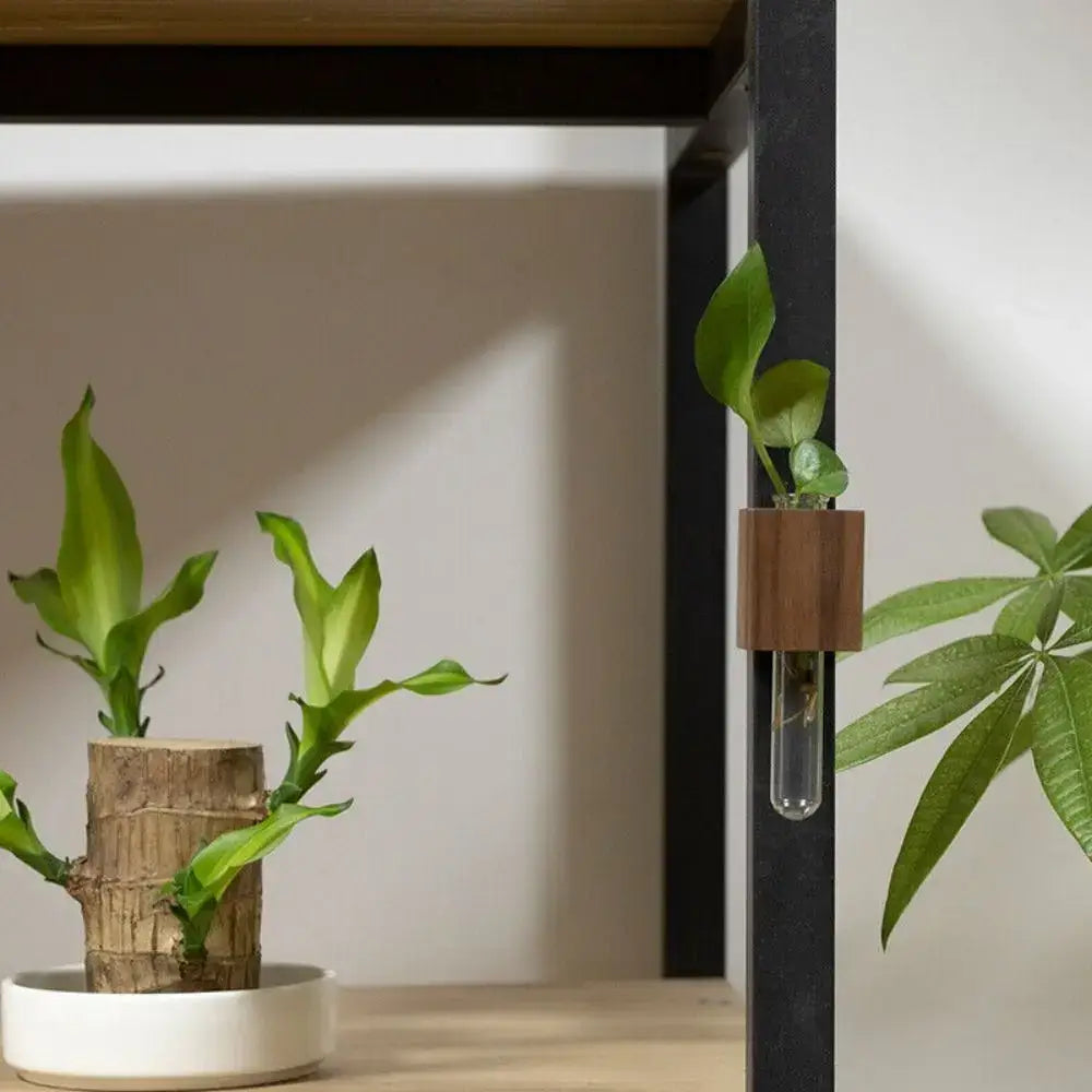 DecorBites wooden magnetic test tube vase with clear glass tube and greenery for minimalist wall-mounted decor