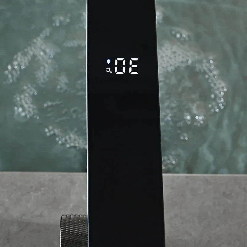 Black digital showerhead with temperature display featuring brass housing material for single hole cold water use
