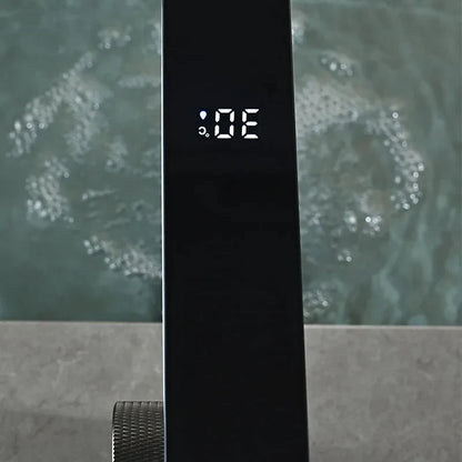 Black digital showerhead with temperature display featuring brass housing material for single hole cold water use