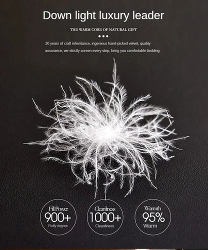 White fluffy down feathers with soft airy texture for a warm white goose down five-star hotel duvet core