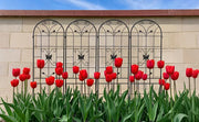 Large Metal Garden Trellis