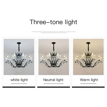 Elegant black wrought iron crystal candle chandelier lighting with clear droplets showcased under warm and neutral tones