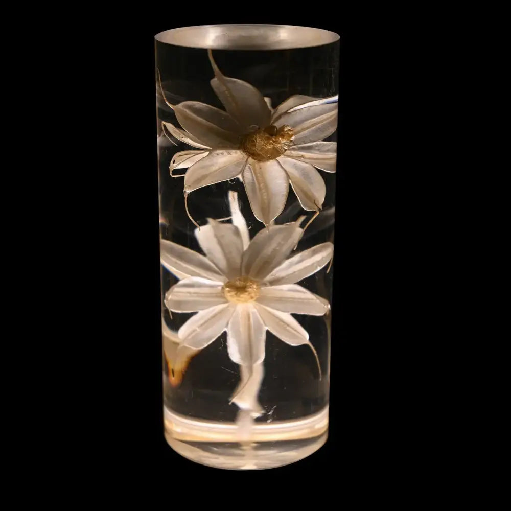 Elegant brass decorbites eternal flower desk lamp with a clear resin vase and two white daisies with golden centers