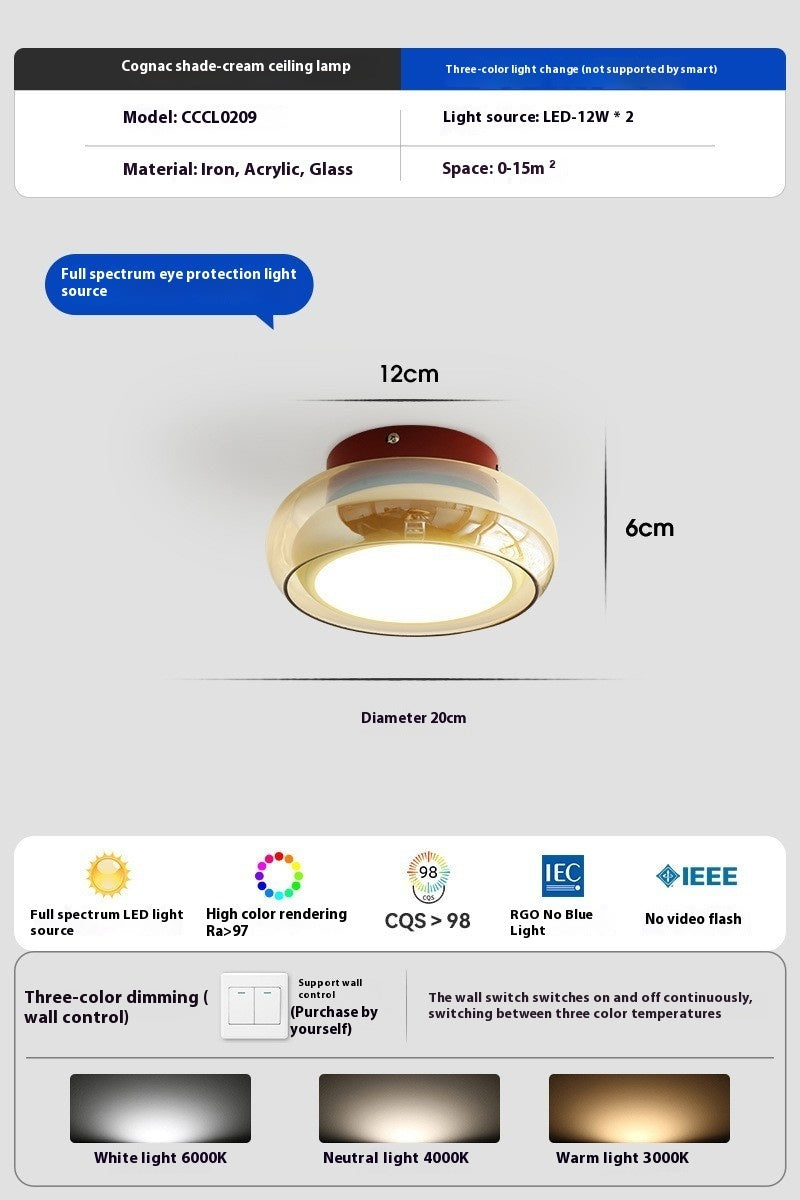 Modern Minimalist Creative Glass Cover Chandelier