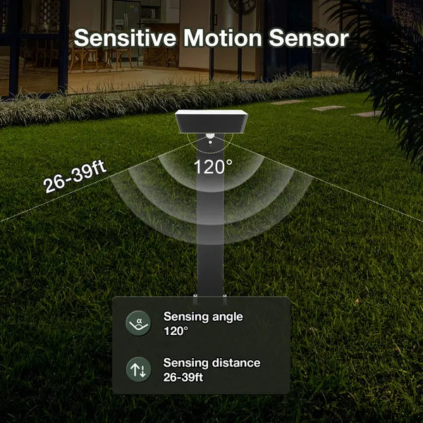 LED Solar Pathway Lights