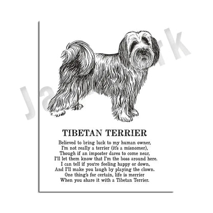 Framed black and white tibetan terrier dog poetry poster with detailed line drawing for living room wall art