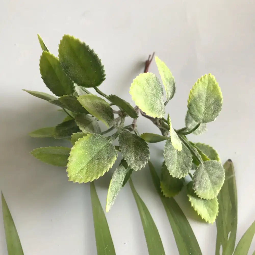 Artificial green leafy branch with variegated foliage and textured surface in frosted greenery berry stamen bundle decorbites greenery berry