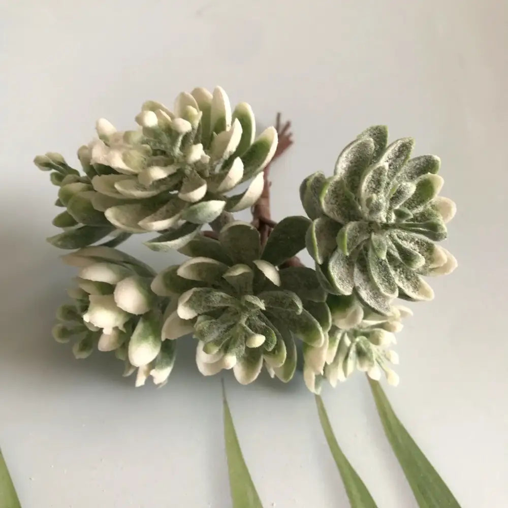 Frosted greenery berry stamen bundle with soft fuzzy green and white faux succulent leaves for living room decorbites decor