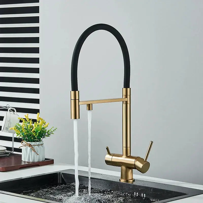 Modern gold-toned water purification mixer tap with sleek black flexible dual spout and dual handles for kitchen use