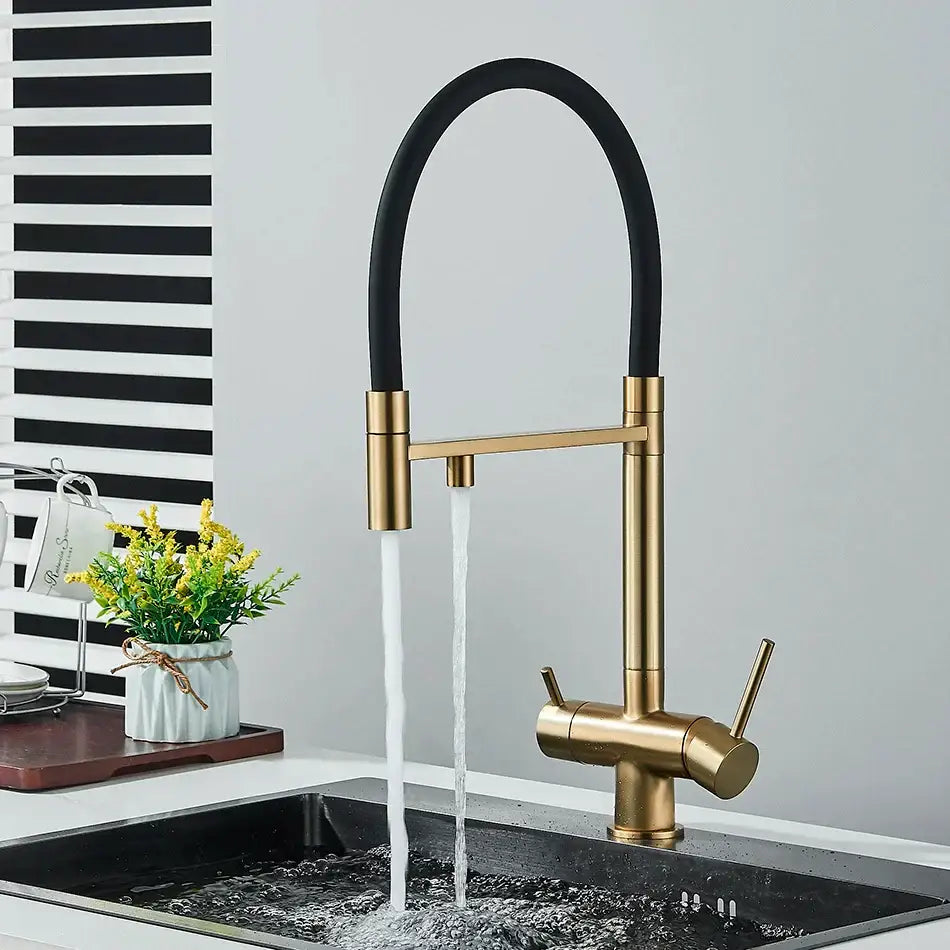 Modern gold and black dual spout water purification mixer kitchen tap with flexible hose and dual handles