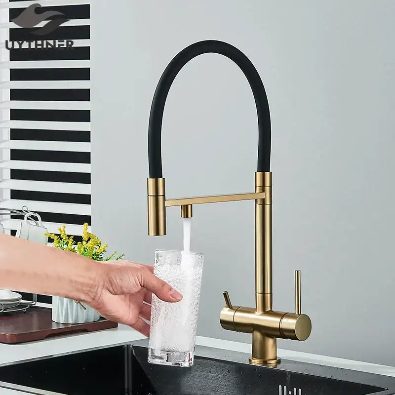 Gold and black dual spout water purification mixer kitchen tap with flexible hose and dual handles for efficient use