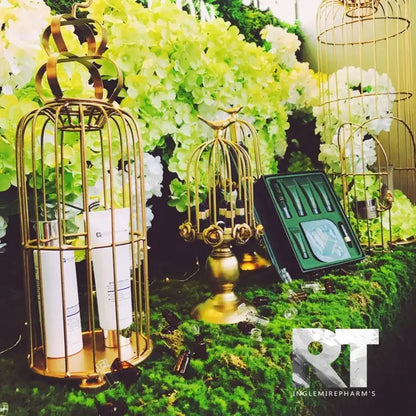 Gold-toned birdcage style ornament holding two white candles designed as a dining room candle holder