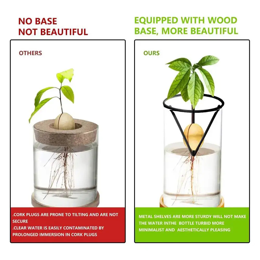 Black metal triangular shelf avocado grower with clear glass bottle and wooden base for hydroponic avocado planting set