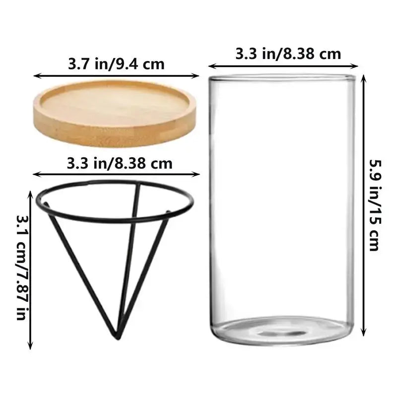 Clear glass cylindrical jar with light wood lid and black metal stand for hydroponic avocado planting set