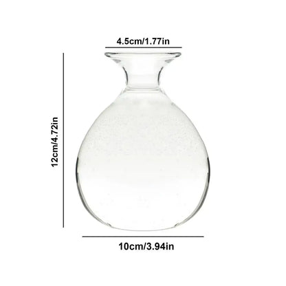 Clear glass hydroponic avocado seed vase with rounded body and narrow neck for seed cultivation