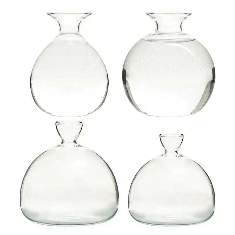 Set of four clear glass hydroponic avocado seed vases with rounded bodies and narrow necks for seed cultivation