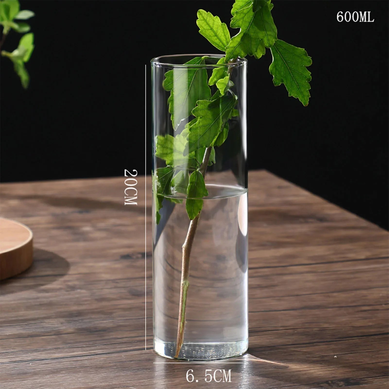 Clear cylindrical glass vase 20cm tall 6.5cm wide holding green leafy branch for hydroponics desktop decoration