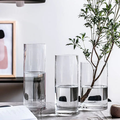 Three clear glass cylinder vases with hydroponic plants filled with water for desktop home decoration