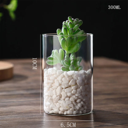 Clear glass cylindrical vase with 300ml capacity holding white pebbles and green succulent for desktop decoration
