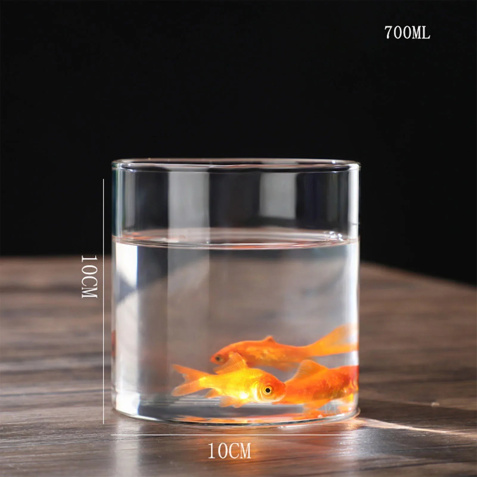 A clear glass cylinder planter vase with 10cm diameter holding water and two orange goldfish for desktop decor