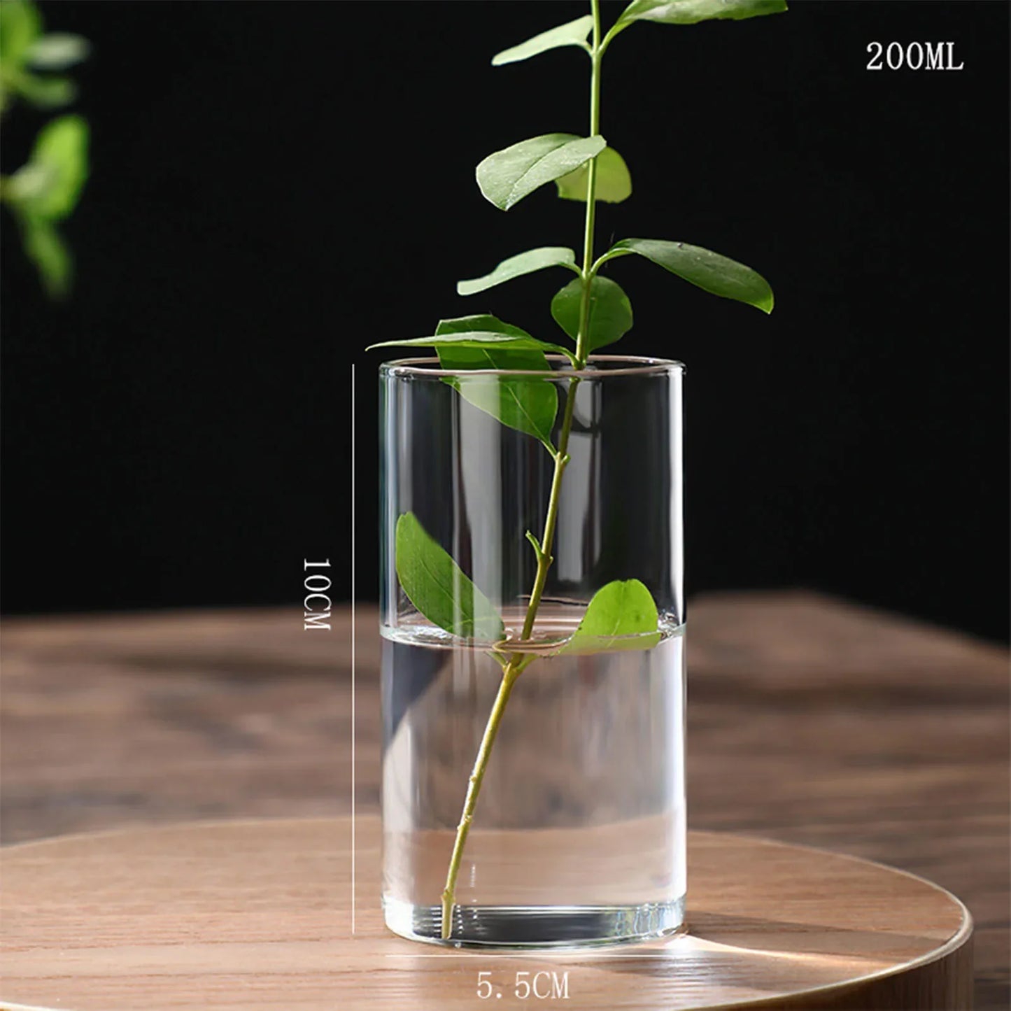 Clear glass cylindrical hydroponics planter vase with a green plant stem for desktop home decoration
