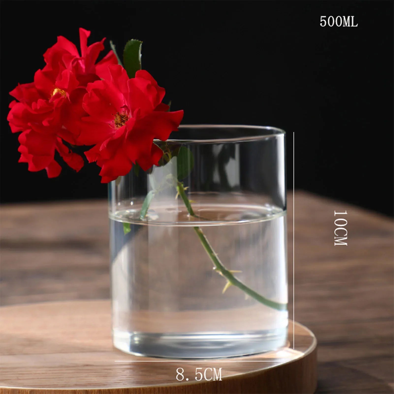 Clear glass transparent cylindrical vase with water holding two vibrant red roses for desktop home decoration