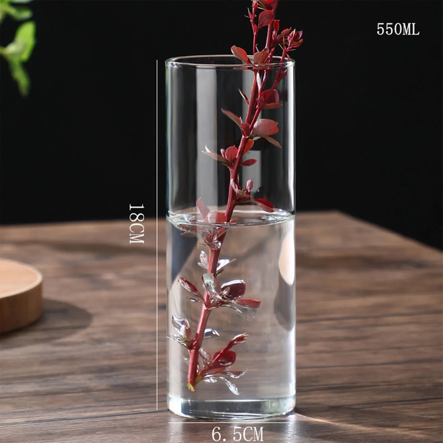 Clear cylindrical glass vase 18cm tall 6.5cm wide holding red-leafed plant for desktop hydroponics decoration