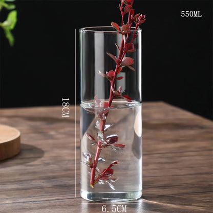 Clear cylindrical glass vase 18cm tall 6.5cm wide holding red-leafed plant for desktop hydroponics decoration