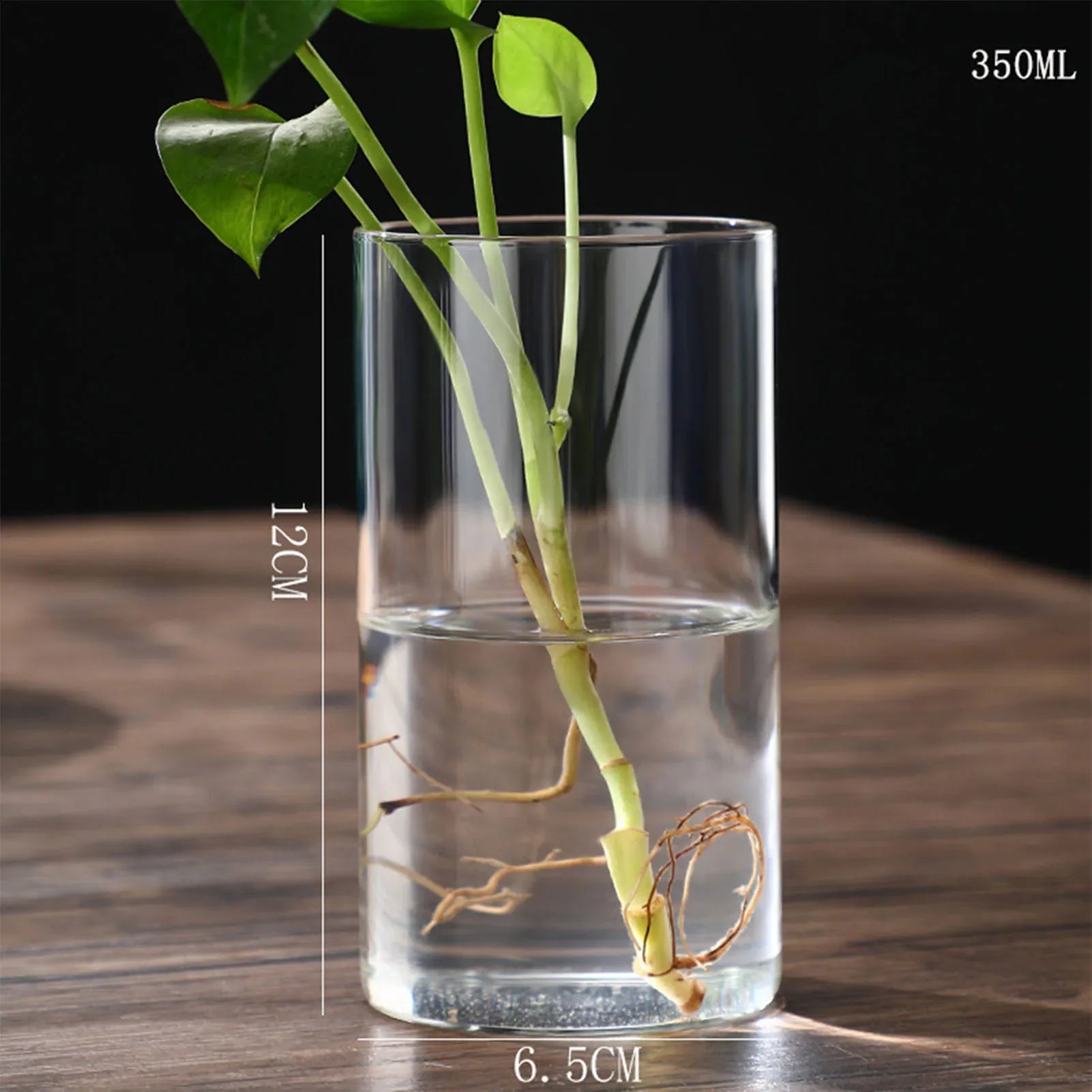 Clear glass cylindrical hydroponics planter vase with 350ml capacity holding green plant stems for desktop decor