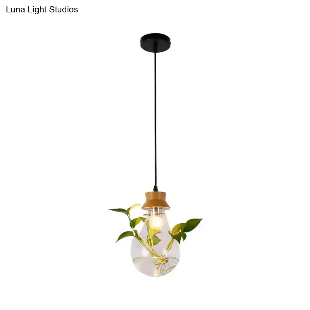 Clear glass industrial pendant light kit with wooden cap and green plant inside exposed bulb for dining room use