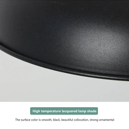 Industrial matte black electric food heat preservation lamp with high-temperature lacquered smooth matte shade