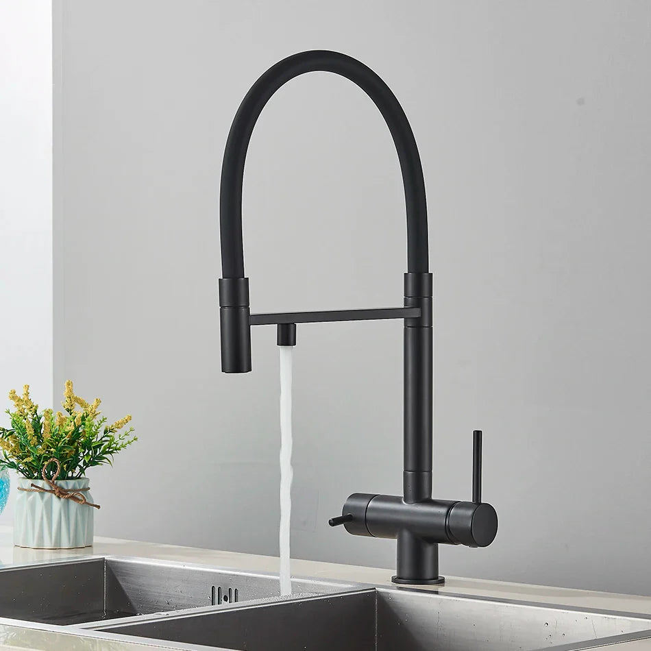 Black matte finish kitchen water filter faucet with dual spout single hole design and pull down spray head for purification