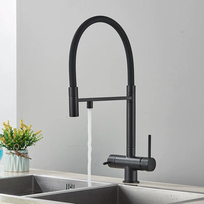 Black matte finish kitchen water filter faucet with dual spout single hole design and pull down spray head for purification
