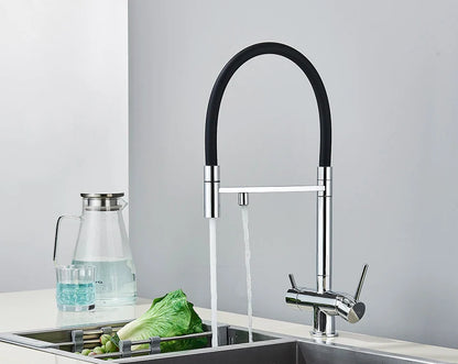 Modern black and chrome single hole kitchen water filter faucet with flexible hose dual handles and dual spout rotation