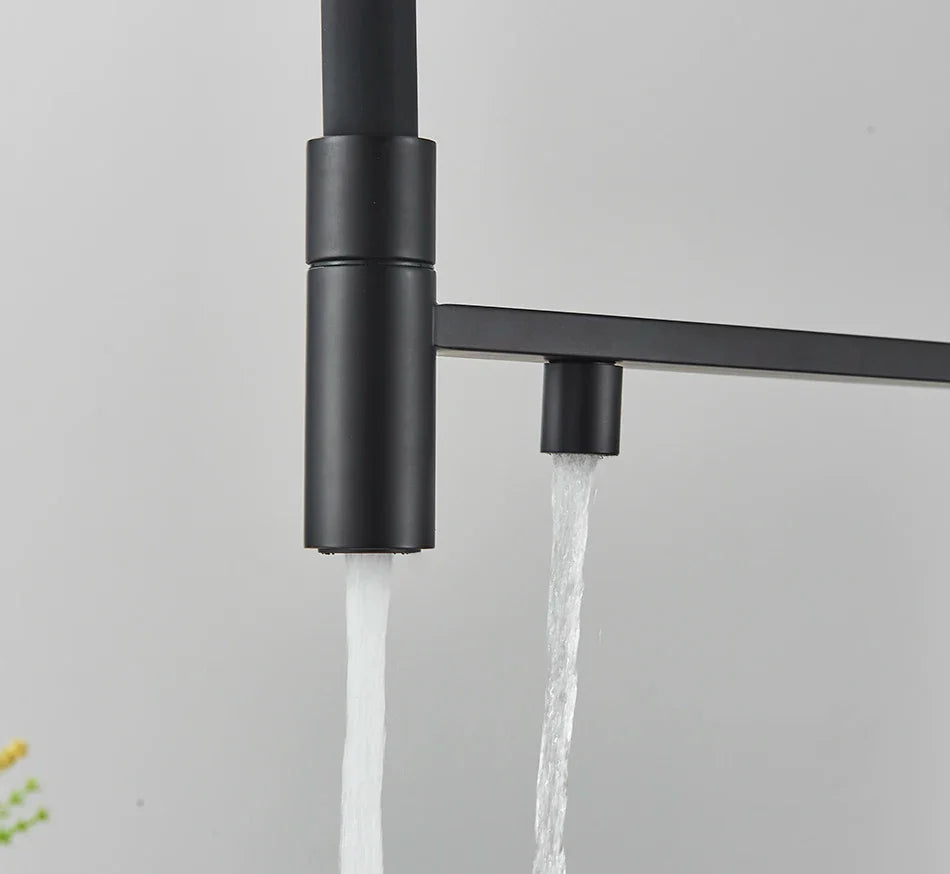 Black matte single hole kitchen water filter faucet with dual spout and rotation water purification mixer tap