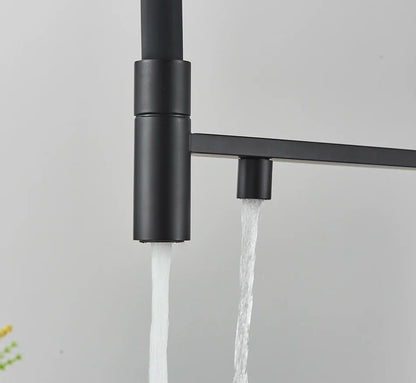 Black matte single hole kitchen water filter faucet with dual spout and rotation water purification mixer tap