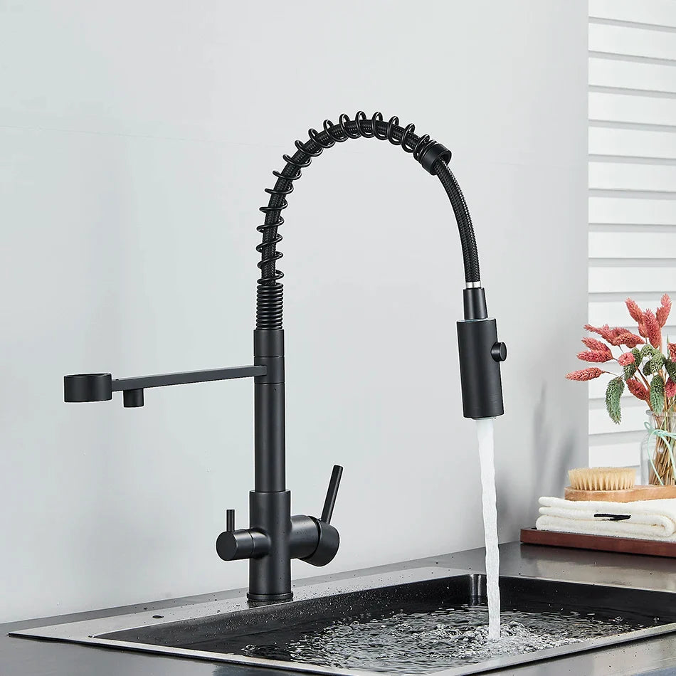 Black matte single hole kitchen faucet with flexible coiled gooseneck spout and dual pull-down water filter tap