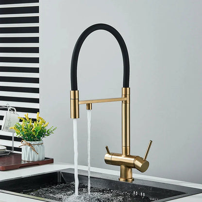Modern gold-toned kitchen water filter faucet with single hole dual spout and flexible black hose for pure water mixing