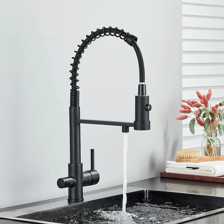Black matte single hole pull-down kitchen faucet with coiled spring hose and dual spout for water purification