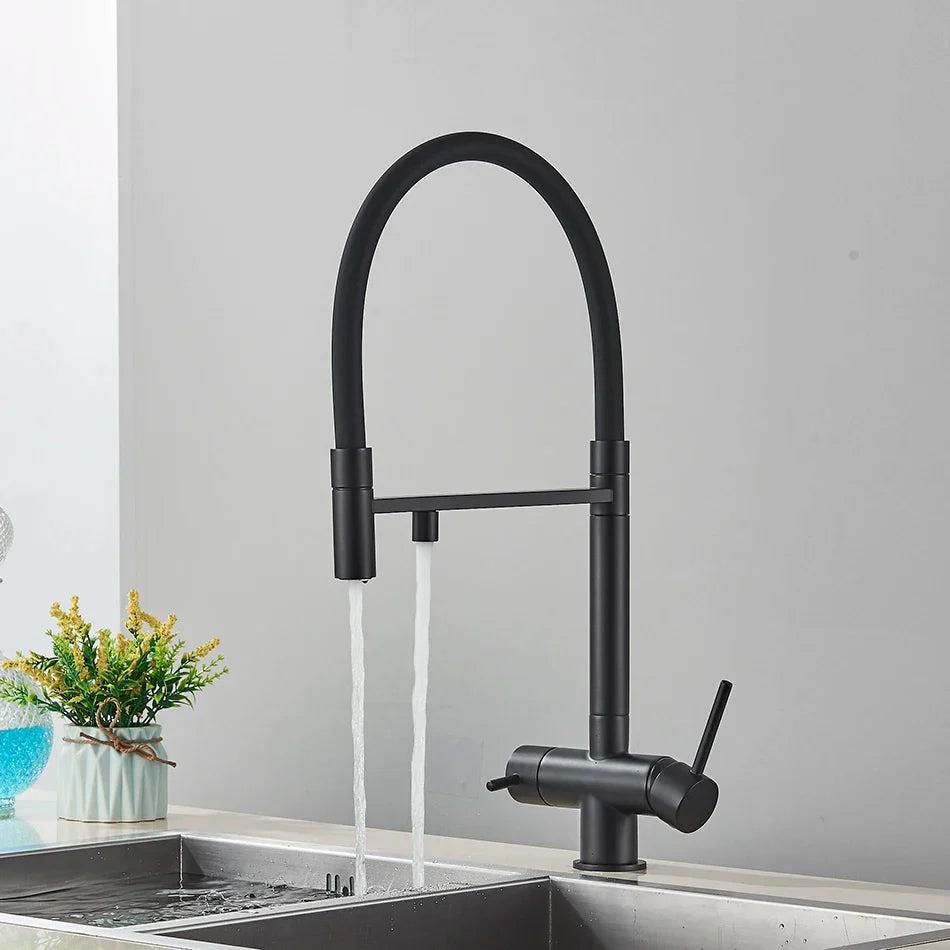 Black matte finish kitchen water filter faucet with dual spout and curved handles for single hole installation