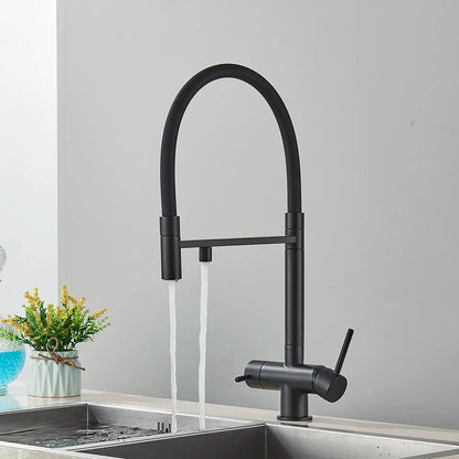Black matte finish kitchen water filter faucet with dual spout and curved handles for single hole installation