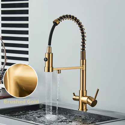 Brushed gold single hole kitchen water filter faucet with flexible coiled hose dual handles and dual spout mixer tap
