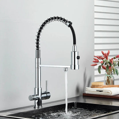 Chrome-finished single hole kitchen water filter faucet with dual spout and flexible black-coated hose for pure drinking water
