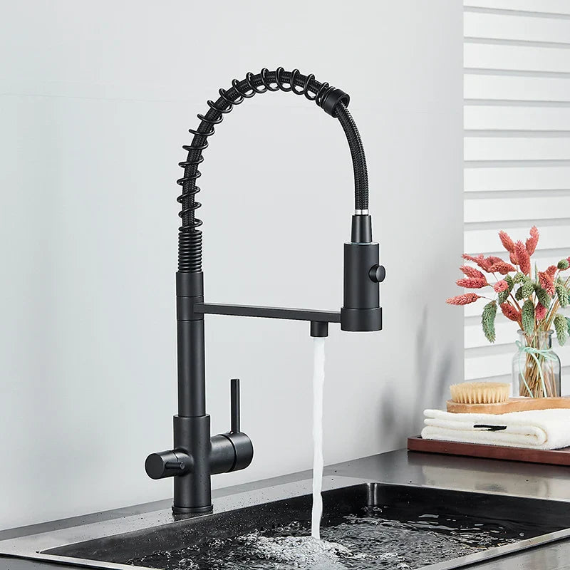 Black matte single hole pull-down kitchen faucet with flexible coiled hose dual control knobs for water purification