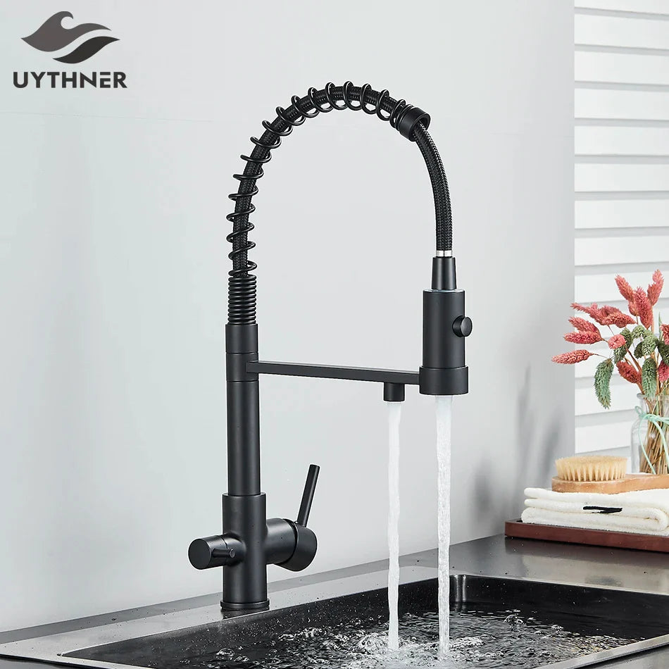 Black matte finish single hole kitchen water filter faucet with flexible coiled hose and pull-down spray head