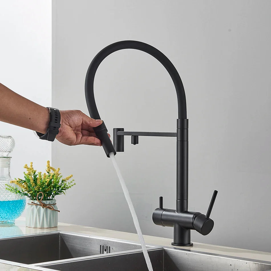 Black matte finish single hole kitchen water filter faucet with dual spout and curved handles for pure drinking water