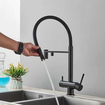 Black matte finish single hole kitchen water filter faucet with dual spout and curved handles for pure drinking water