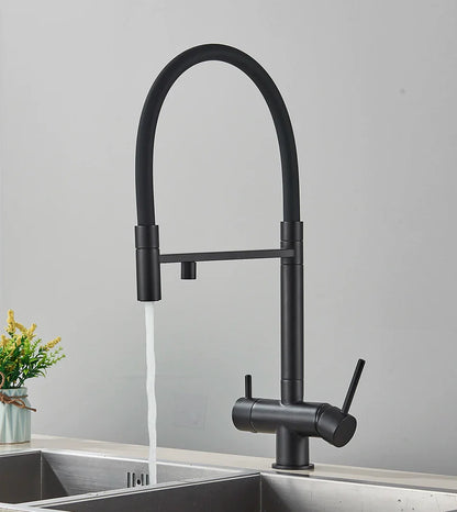 Black matte finish kitchen water filter faucet with dual spout and dual handles single hole installation for pure drinking water